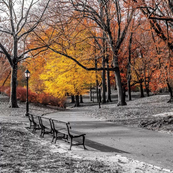 City Parks: Park Pretty I by Assaf Frank