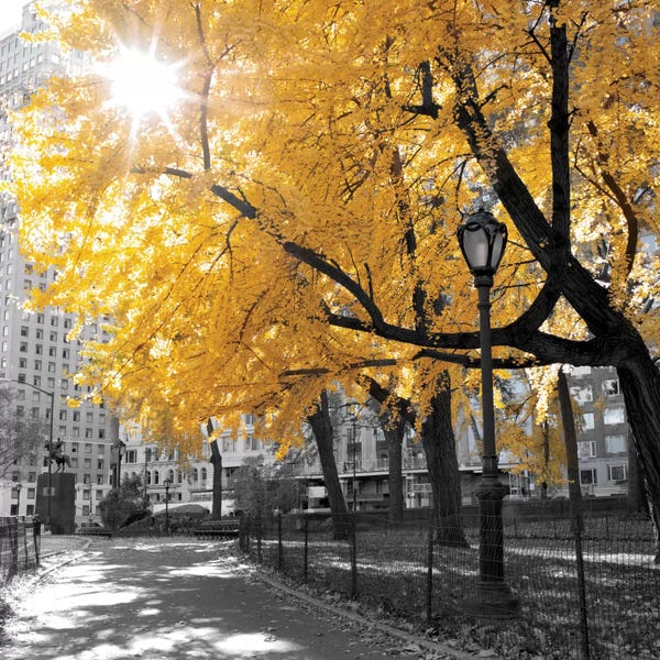 Color Pop Photography: Park Pretty II by Assaf Frank