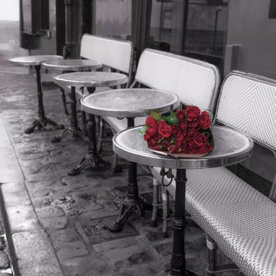 Say It With Flowers II by Assaf Frank framed wall art