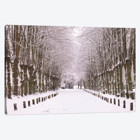 Winter's Aisle Canvas Print #AFR63} by Assaf Frank Canvas Art Print