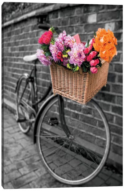 Basket Of Flowers II Canvas Art Print - Bicycle Art