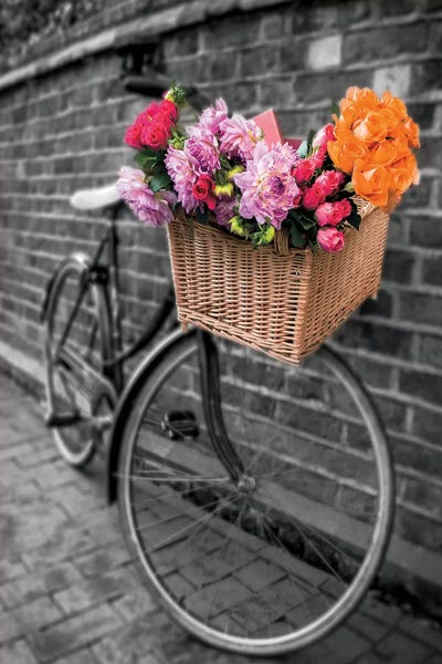 Color Pop Photography: Basket Of Flowers II by Assaf Frank