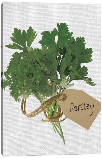 Parsley Canvas Art Print - Herb Art