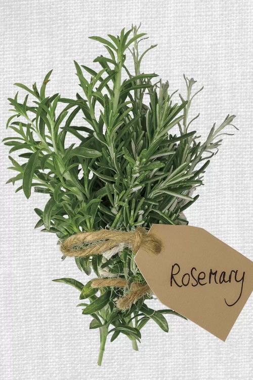 Rosemary