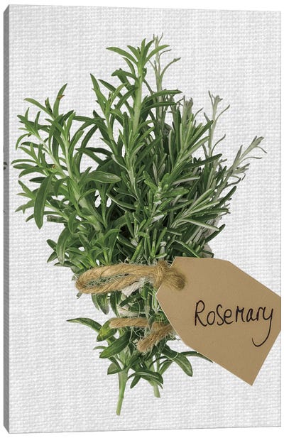 Rosemary Canvas Art Print - Herb Art