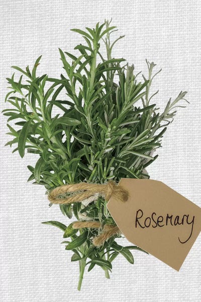 Gardening: Rosemary by Assaf Frank