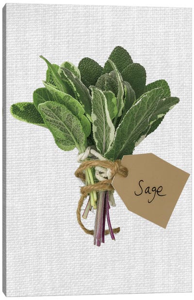 Sage Canvas Art Print - Love Through Food