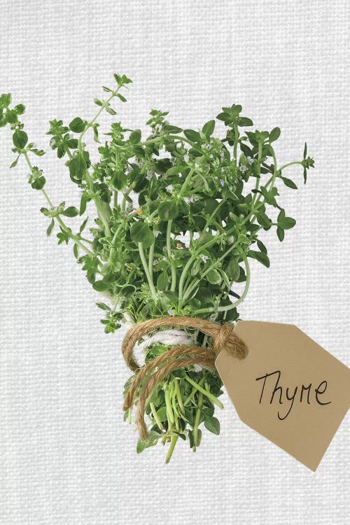 Thyme