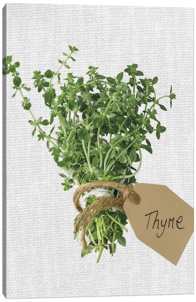 Thyme Canvas Art Print - Herb Art