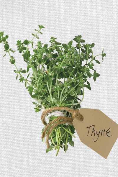 Gardening: Thyme by Assaf Frank