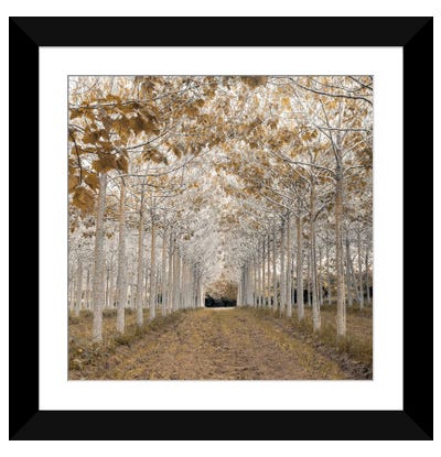 White Gold Paper Art Print - Best Selling Paper