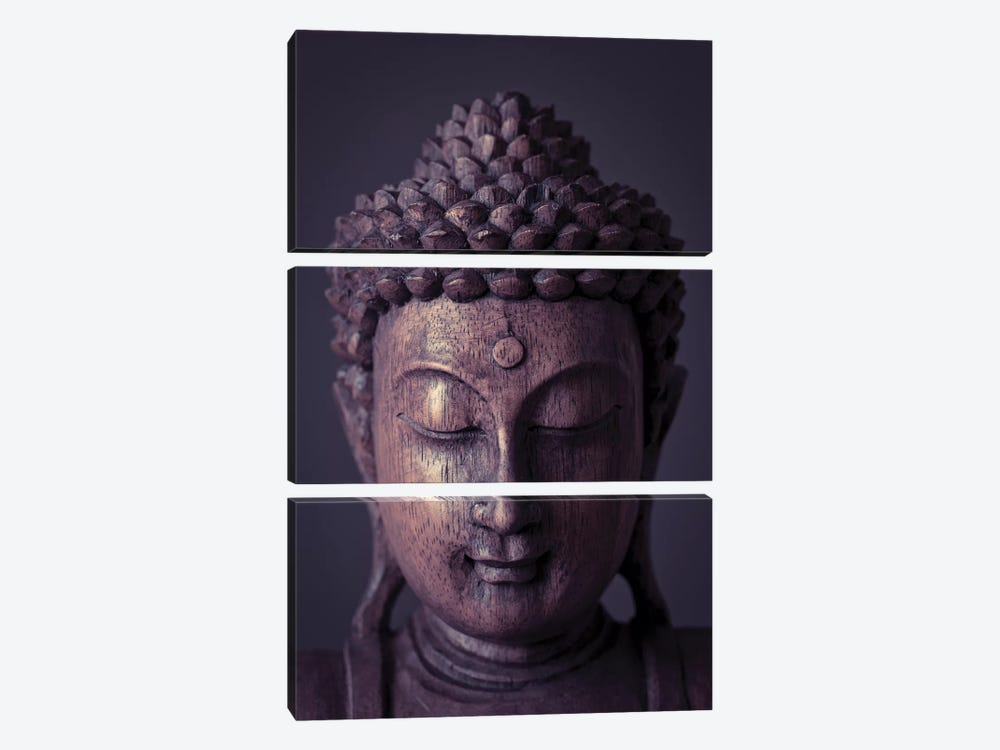 Buddha IV by Assaf Frank 3-piece Canvas Artwork