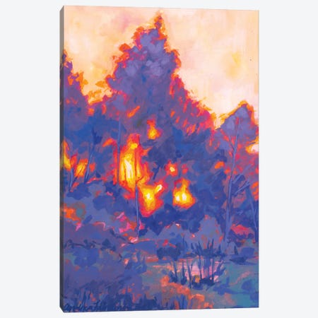 Fiery Sunset Study I Canvas Print #AFS17} by Andrea Fairservice Canvas Art