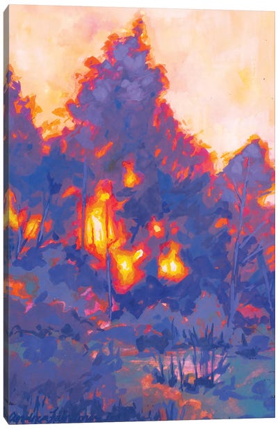 Fiery Sunset Study I Canvas Art Print - Andrea Fairservice