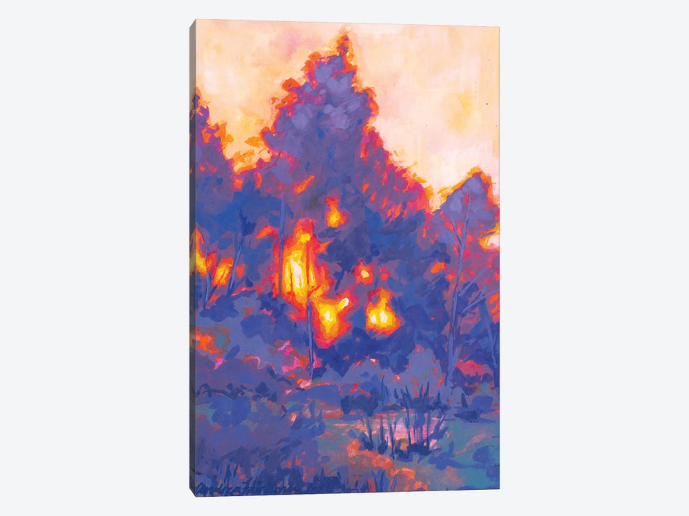 Fiery Sunset Study I by Andrea Fairservice 1-piece Canvas Print