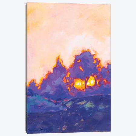 Fiery Sunset Study II Canvas Print #AFS18} by Andrea Fairservice Canvas Print