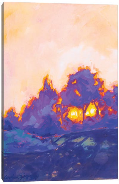Fiery Sunset Study II Canvas Art Print - Andrea Fairservice