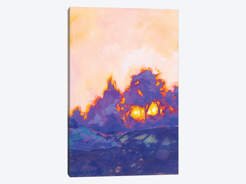 Fiery Sunset Study II by Andrea Fairservice 1-piece Canvas Wall Art
