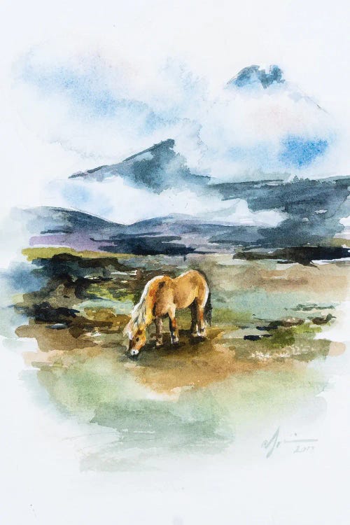 Icelandic Horse by Andrea Fairservice wall art
