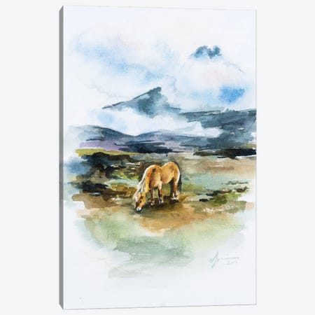 Icelandic Horse Canvas Print #AFS26} by Andrea Fairservice Art Print