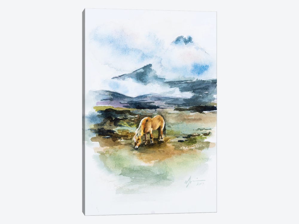 Icelandic Horse by Andrea Fairservice 1-piece Canvas Art Print