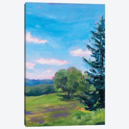 Plein Air Study Valley Forge Canvas Print #AFS54} by Andrea Fairservice Canvas Art