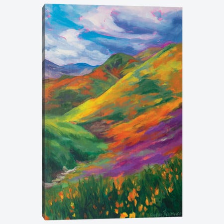 Rainbow Hills Canvas Print #AFS57} by Andrea Fairservice Canvas Wall Art