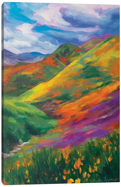 Rainbow Hills Canvas Art Print - Pops of Pink
