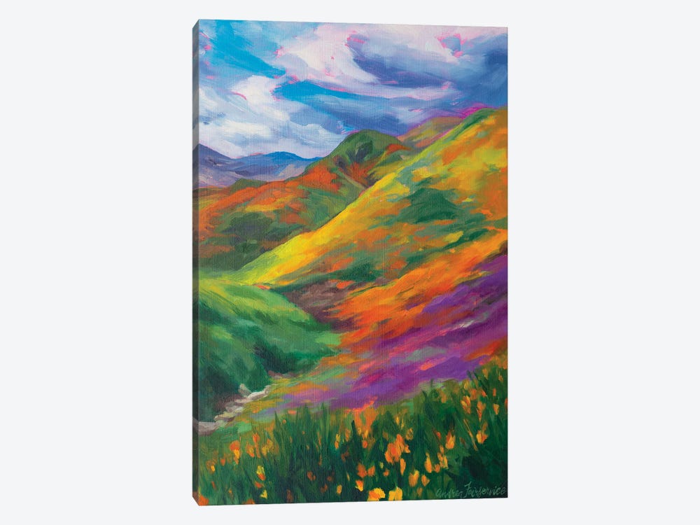 Rainbow Hills by Andrea Fairservice 1-piece Art Print