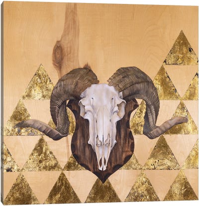 Ram Skull Canvas Art Print - Rams