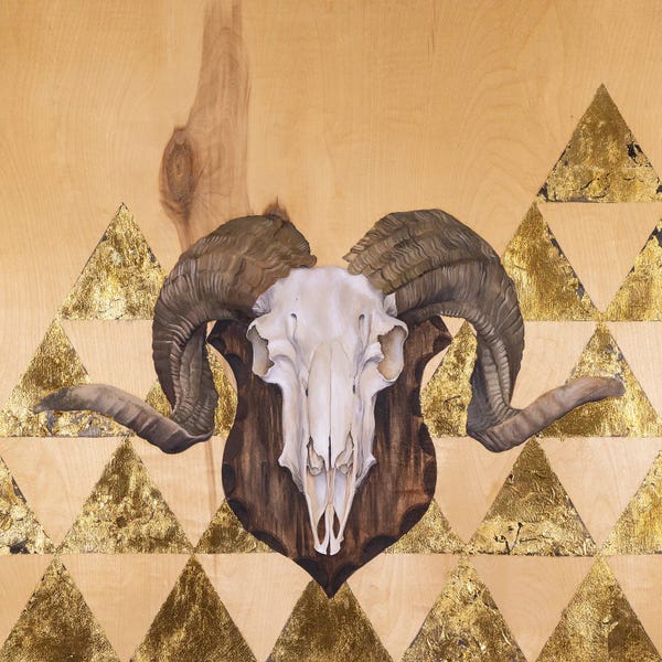 Andrea Fairservice: Ram Skull by Andrea Fairservice
