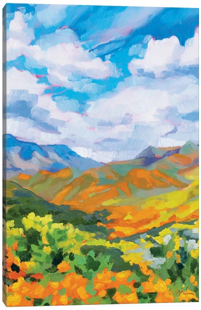Rolling Orange Hills Canvas Art Print - Andrea Fairservice