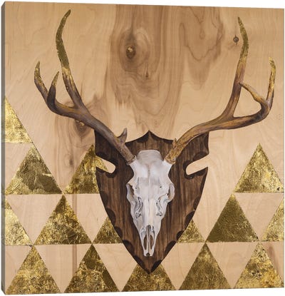 Buck Skull Canvas Art Print - Art Gifts for Him