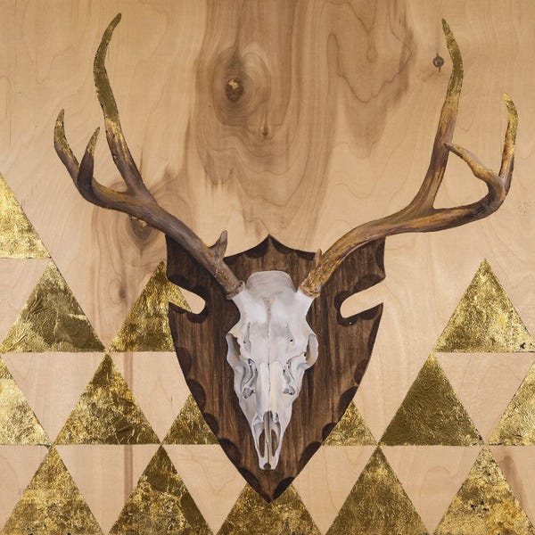 Andrea Fairservice: Buck Skull by Andrea Fairservice