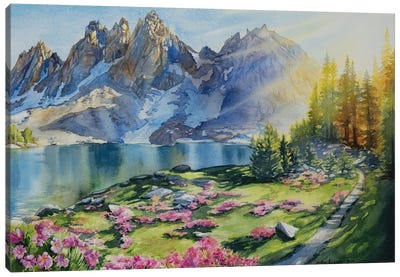 Trail To Kearsarge Lakes Canvas Art Print - Andrea Fairservice