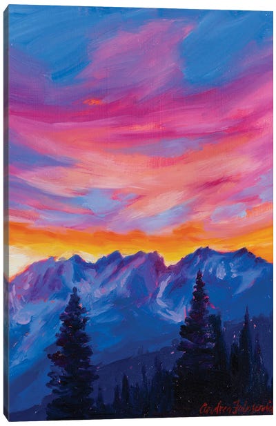 Cascades Canvas Art Print - Andrea Fairservice
