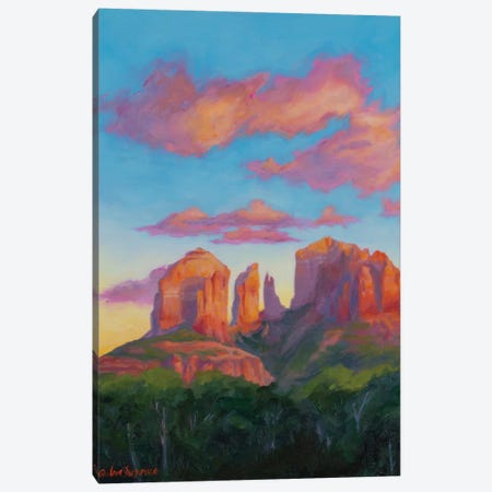 Cathedral Rock Canvas Print #AFS8} by Andrea Fairservice Canvas Art