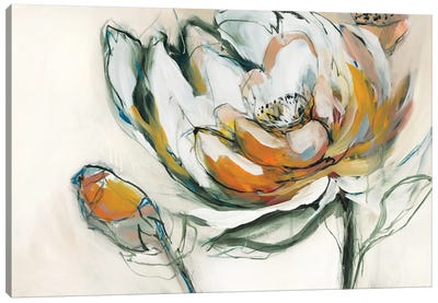 Bloomed IV Canvas Art Print