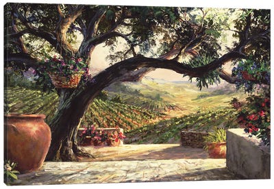 Napa Patio Canvas Art Print - California Art