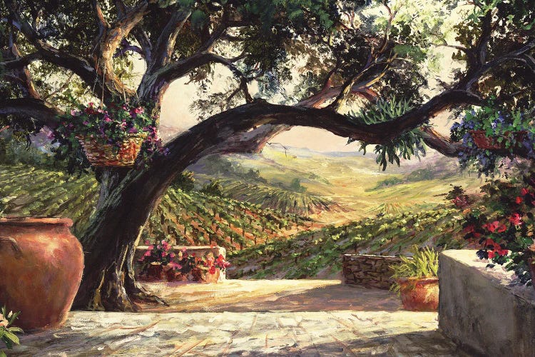 Napa Patio