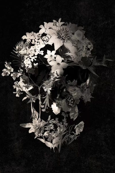 Skulls: Spring Skull by Ali Gulec