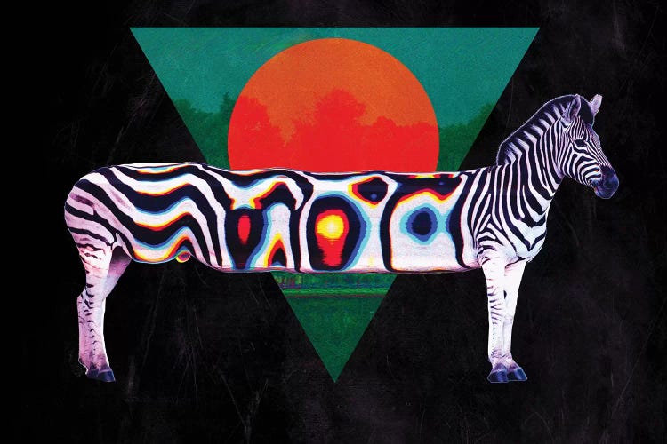 Zebra by Ali Gulec wall art