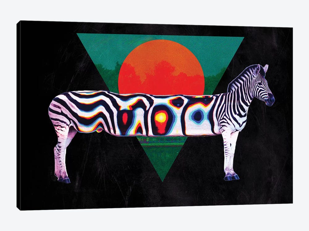 Zebra by Ali Gulec 1-piece Canvas Wall Art