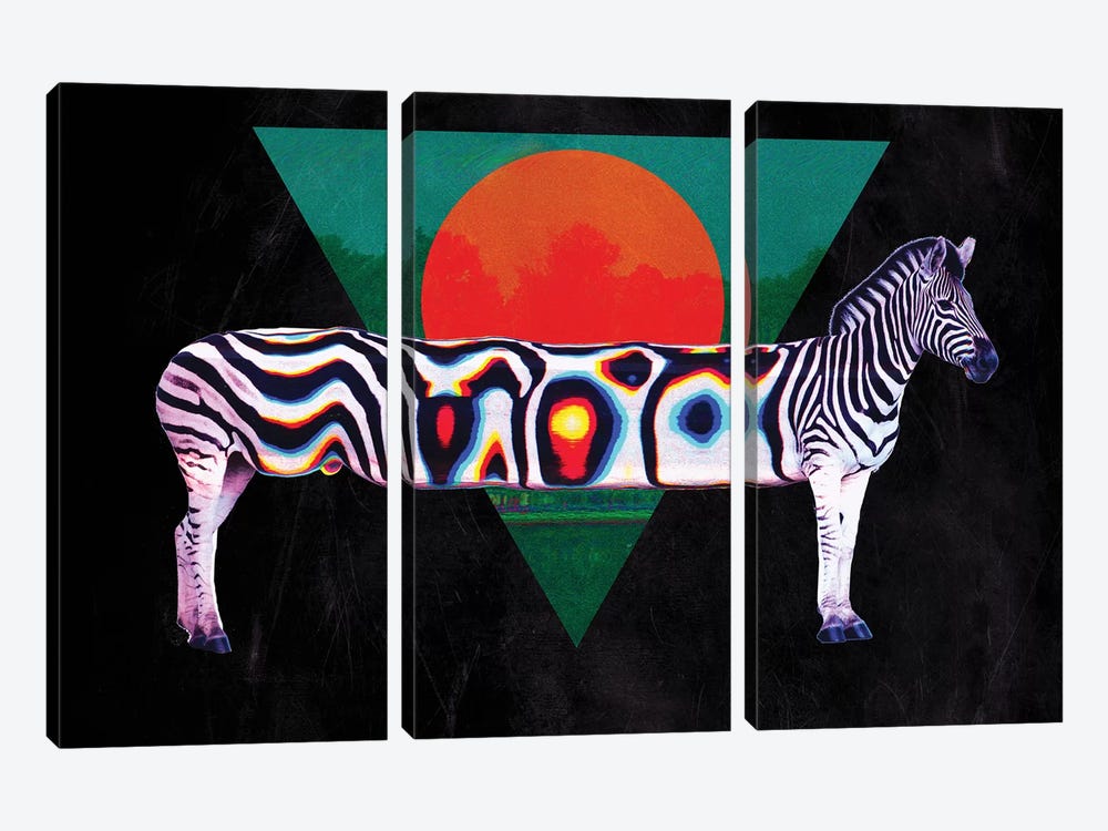 Zebra by Ali Gulec 3-piece Canvas Art