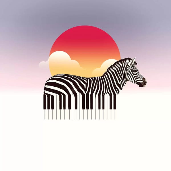 Zebras: Zeyboard by Ali Gulec