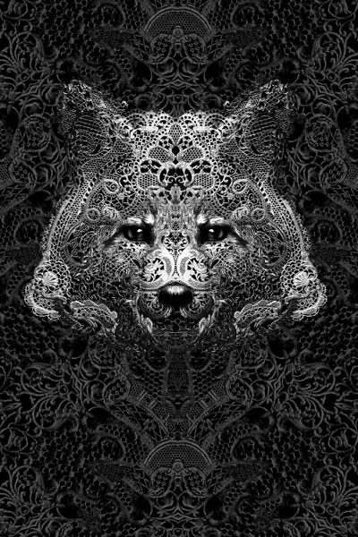 Fox by Ali Gulec acrylic art print