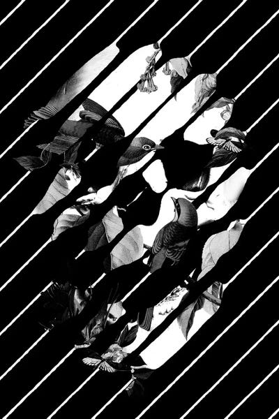 Skulls: Memory Black & White I by Ali Gulec