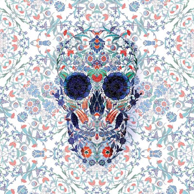 Chini Skull by Ali Gulec canvas print