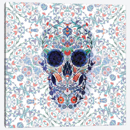 Chini Skull Canvas Print #AGC118} by Ali Gulec Canvas Wall Art