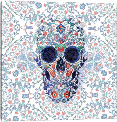 Chini Skull Canvas Art Print - Ali Gulec